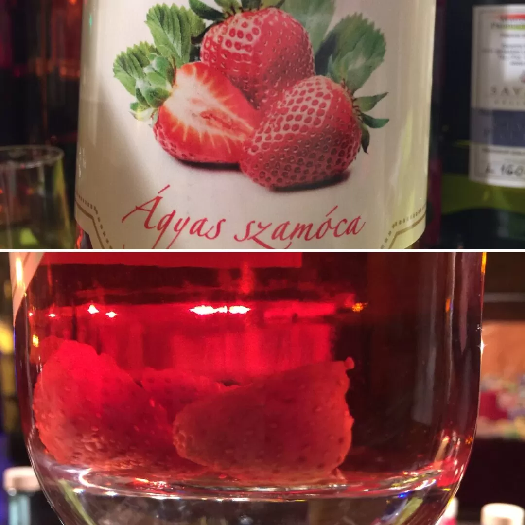 szamóca